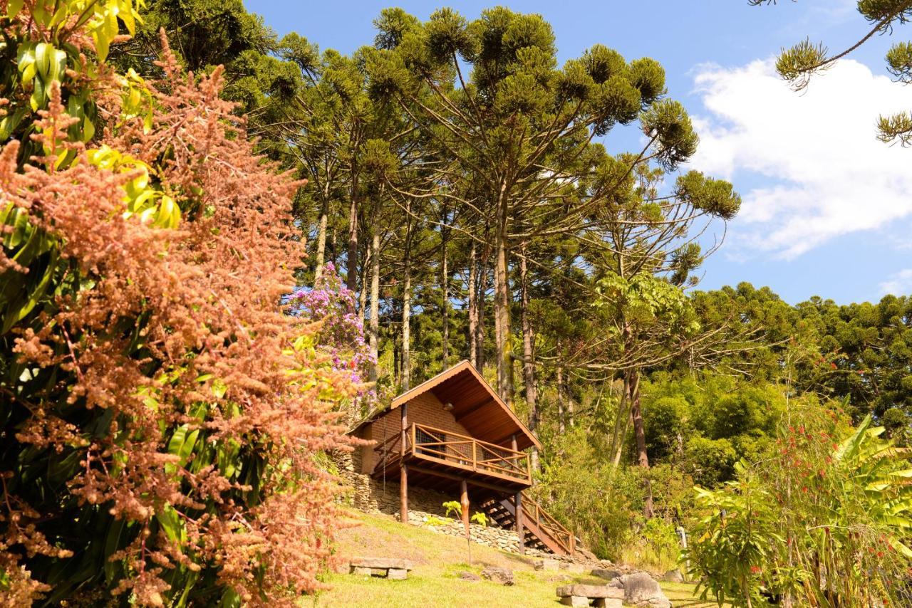 Chales Araucaria E Manaca Sao Bento do Sapucai Exterior photo